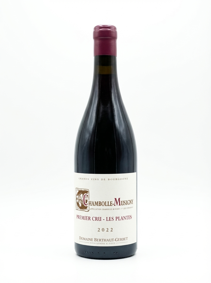 베르토 제르베 샹볼 뮈지니 프르미에 크뤼 레 플랑트 2022