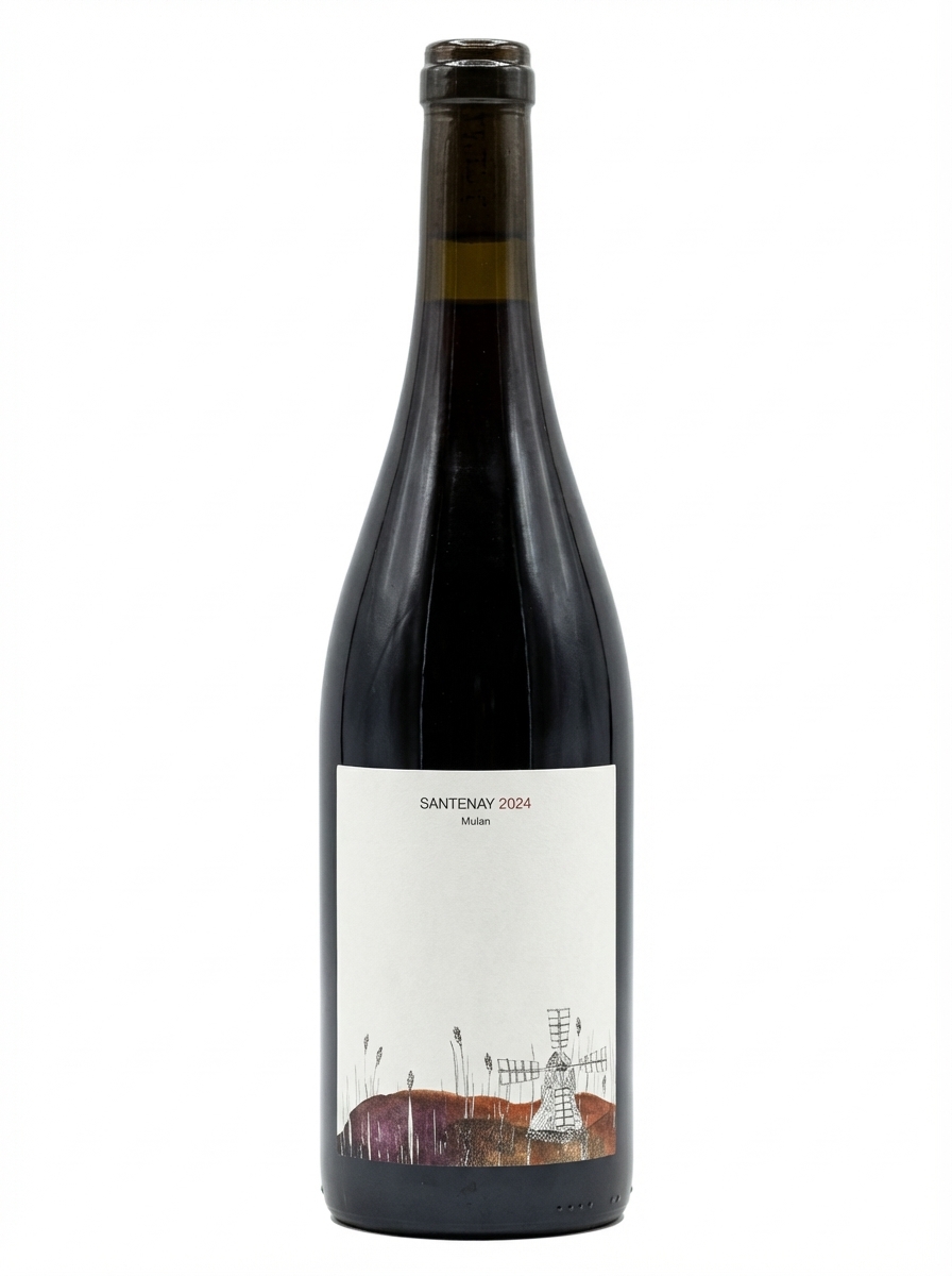 아이시 리우 사нта네 Мулан 2024