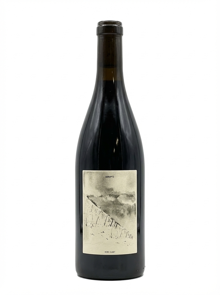 앙리 쇼베 아브럽 2022