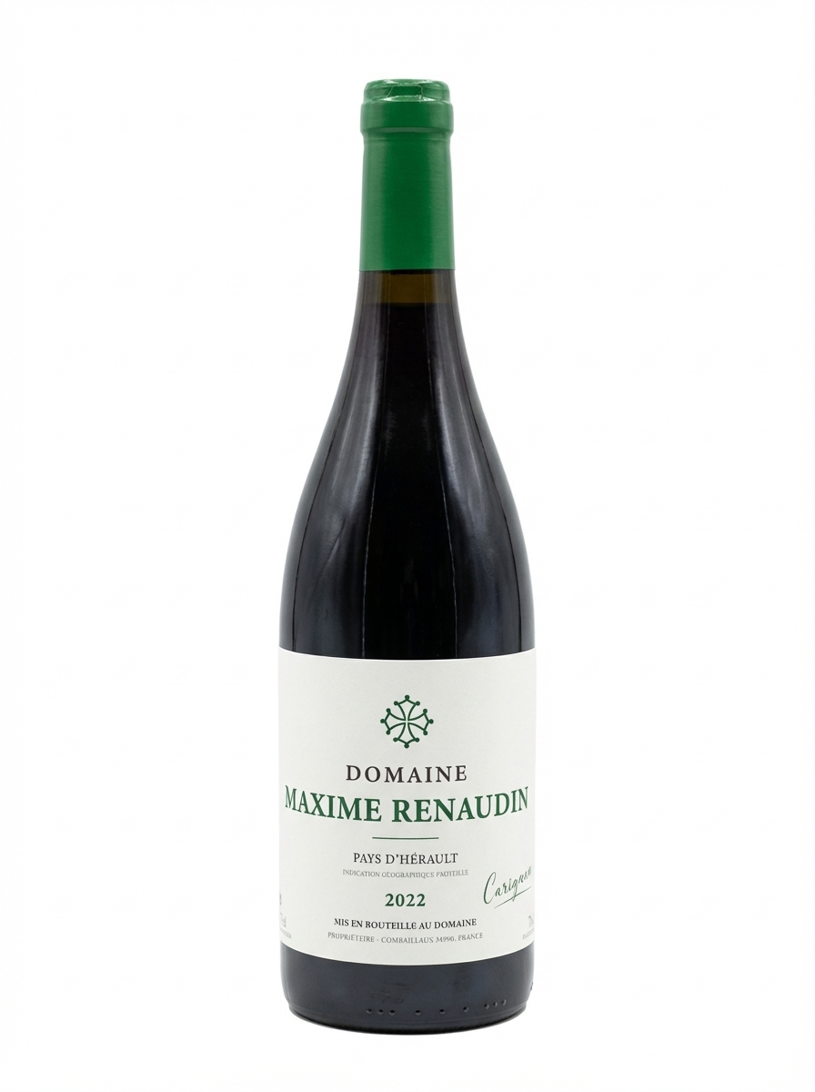 막심 르노댕 카리냥 2022