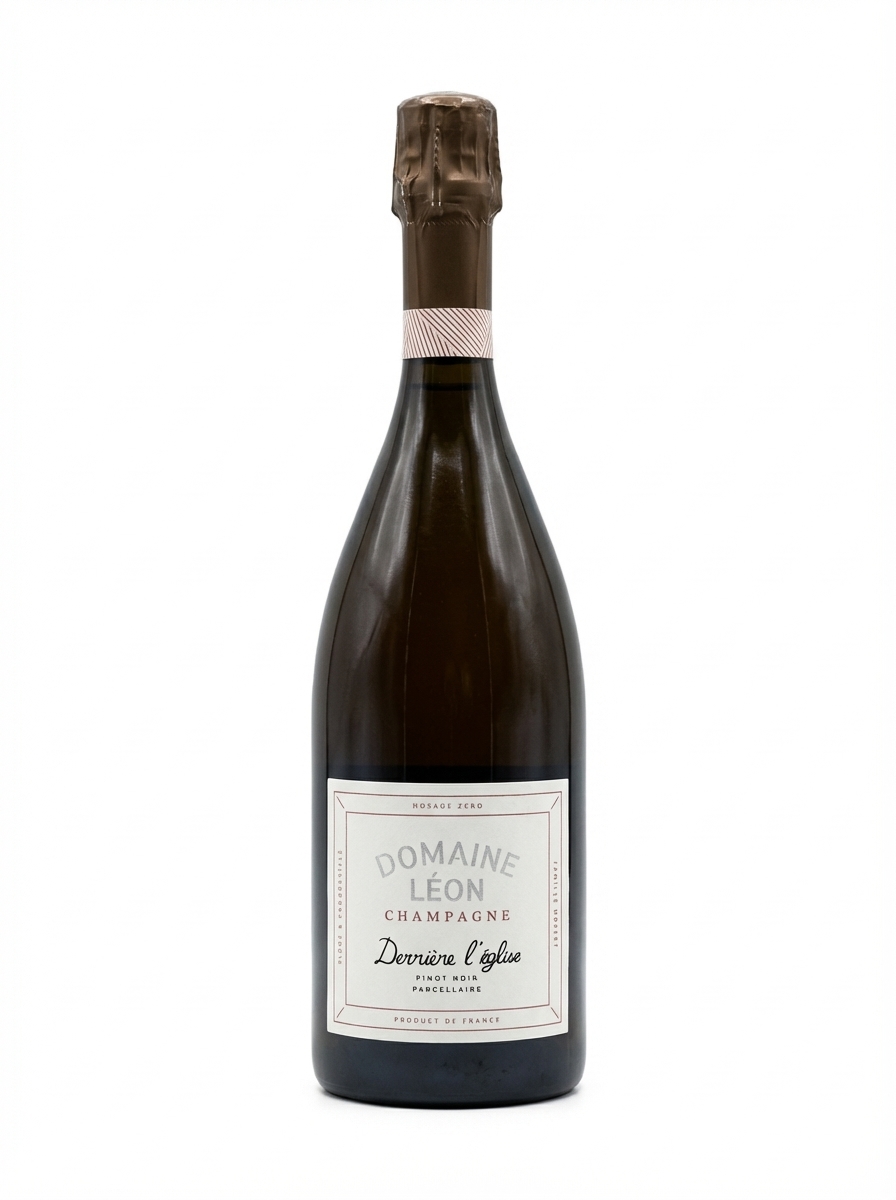 도멘 레옹 데리에르 뢰글리즈 브뤼 나튀르 R22