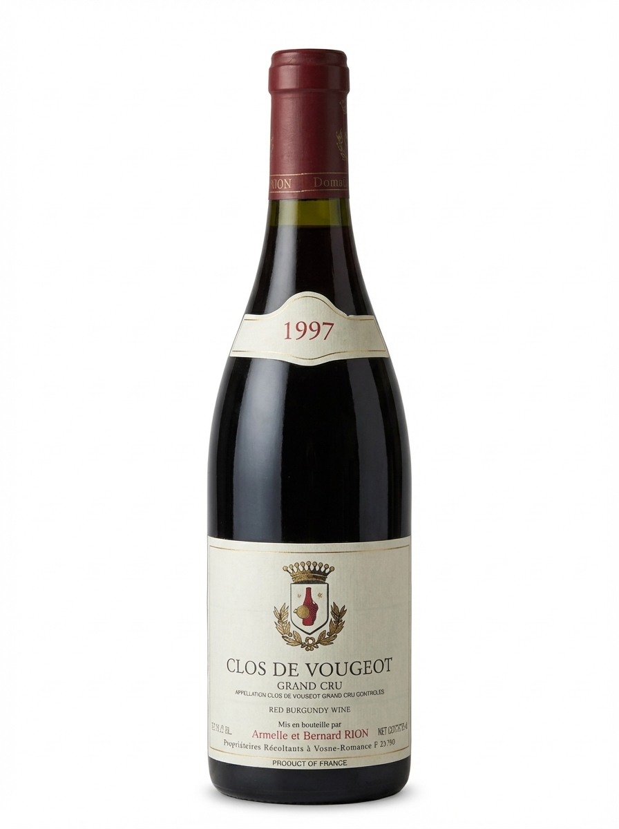 아르멜 에 베르나르 리옹 클로 부죠 1997