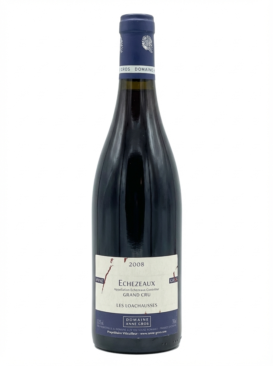 안느 그로 에세조 2008