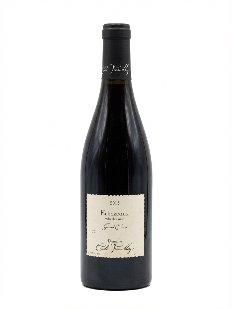 세실 트랑블레 에세조 뒤 드쉬 2013