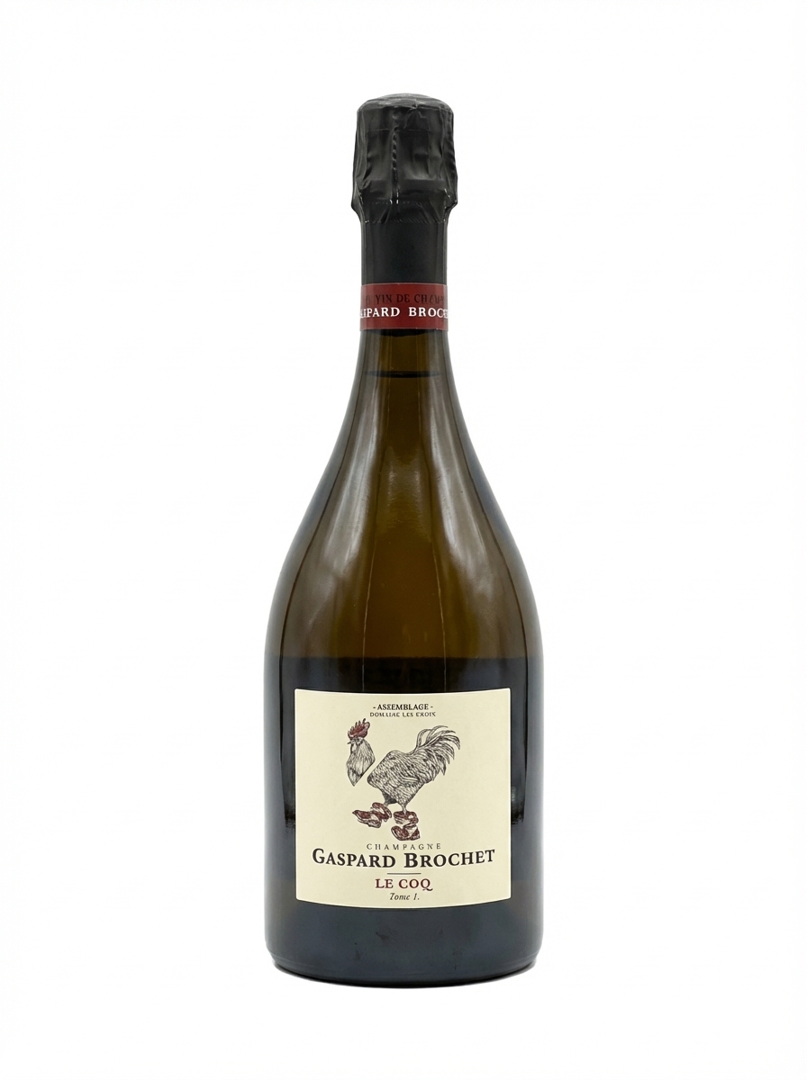 가스파르 브로셰 르 코크 아상블라주 톰 1