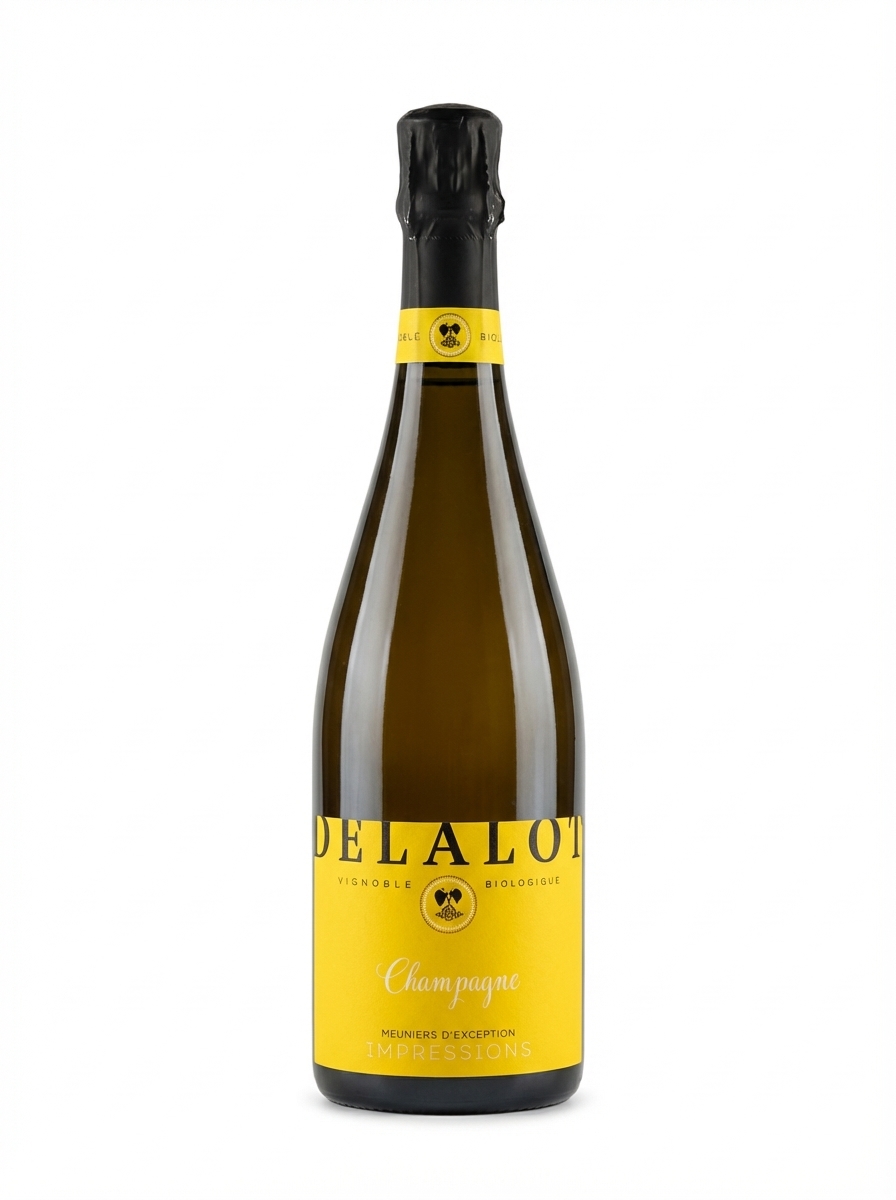 엘리안 드랄로 임프레션