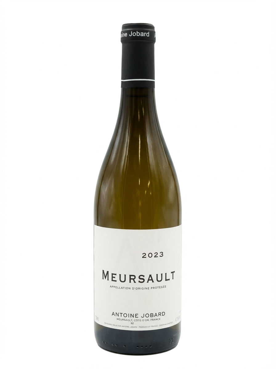 앙투안 조바르 뫼르소 2023