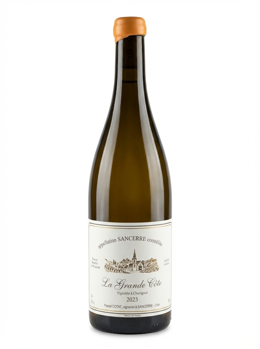 파스칼 코타 상세르 라 그랑드 코트 2023