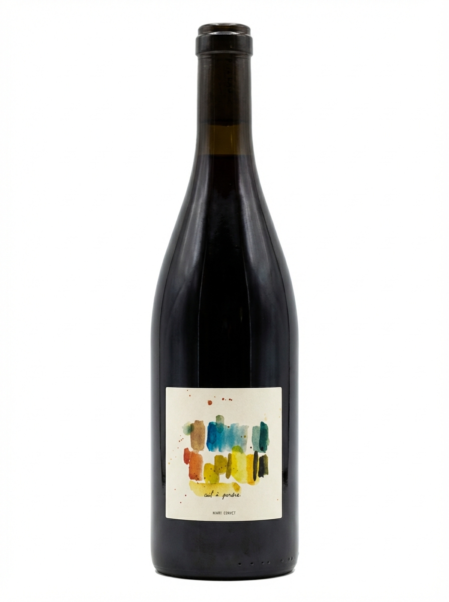 앙리 쇼베 씨엘 아 페르드르 카리냥 2023