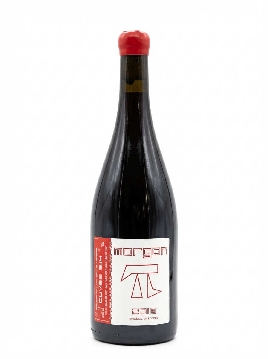 장 푸아야르 모르공 3.14 2018