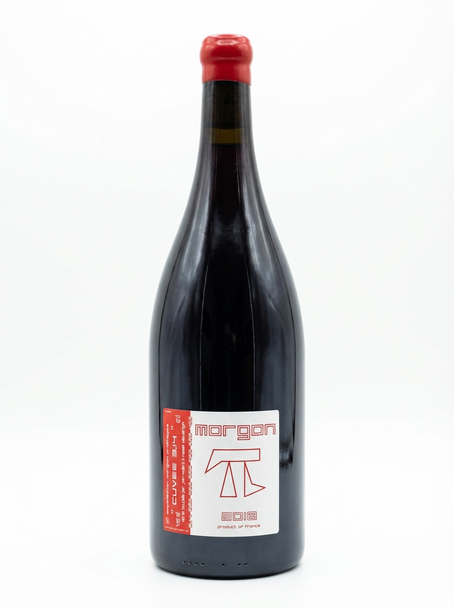 장 푸아야르 모르공 3.14 2018