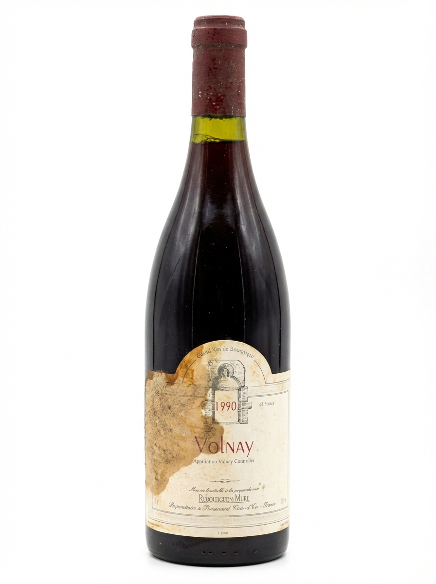 르부르종 뮈레 볼네 1990