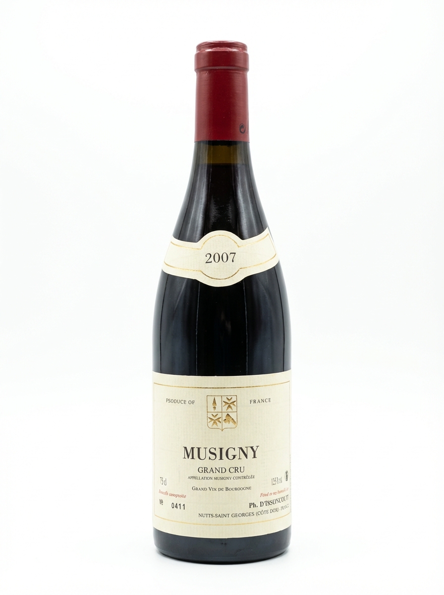 디송쿠르 뮈지니 2007