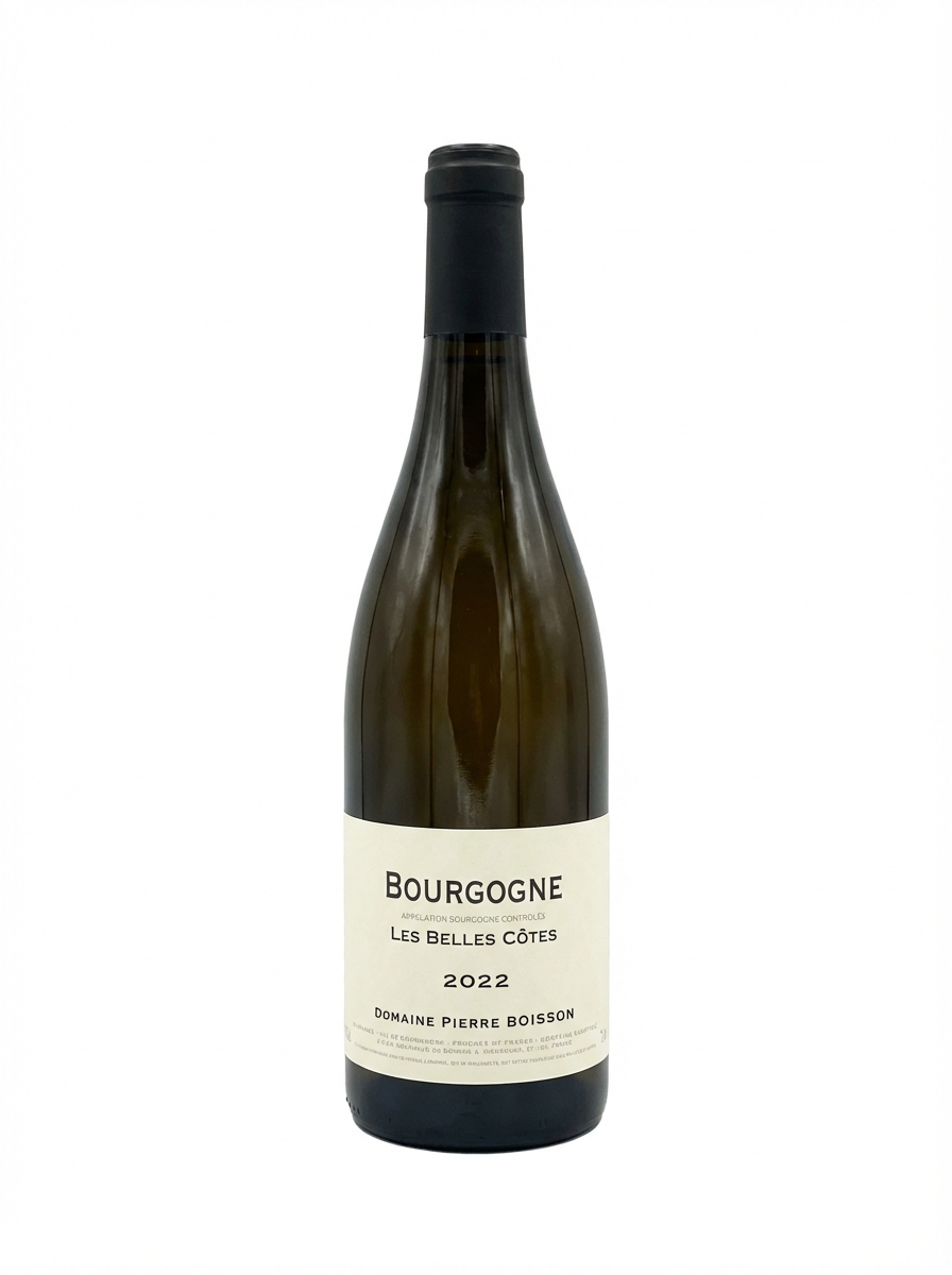 피에르 부아송 부르고뉴 레 벨 코트 2022