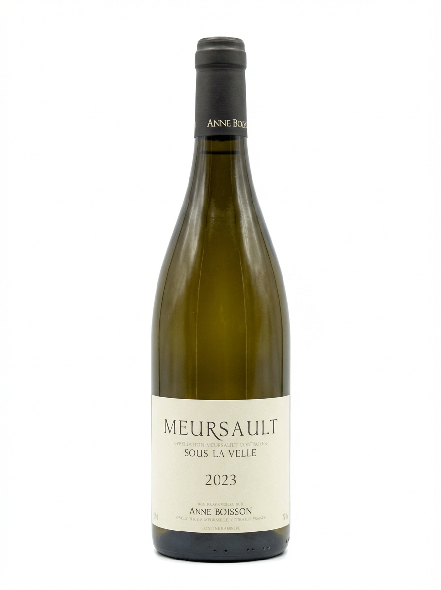 안 부아송 뫼르소 수 라 벨 2023