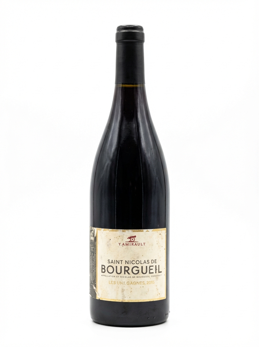 야닉 아미로 생 니콜라 드 부르괴유 레 말가뉴 2017