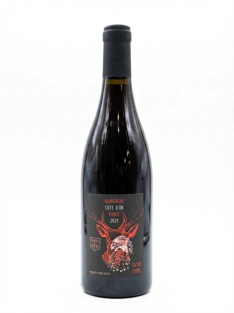 샤퓌 부르고뉴 코트 도르 2024