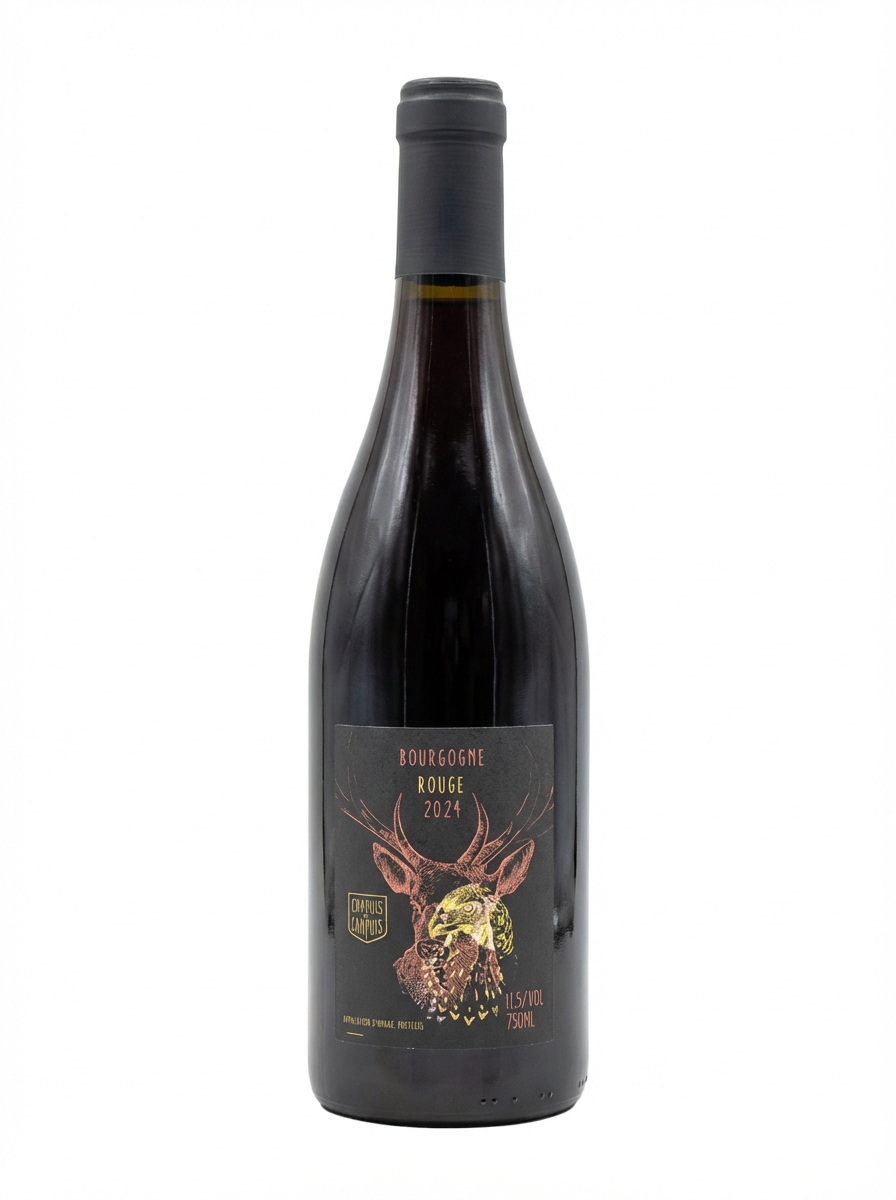 샤퓌 부르고뉴 2024