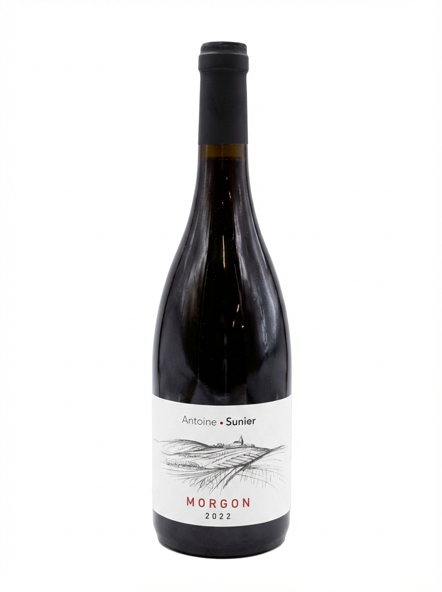 앙투안 쒸니에 모르공 2022