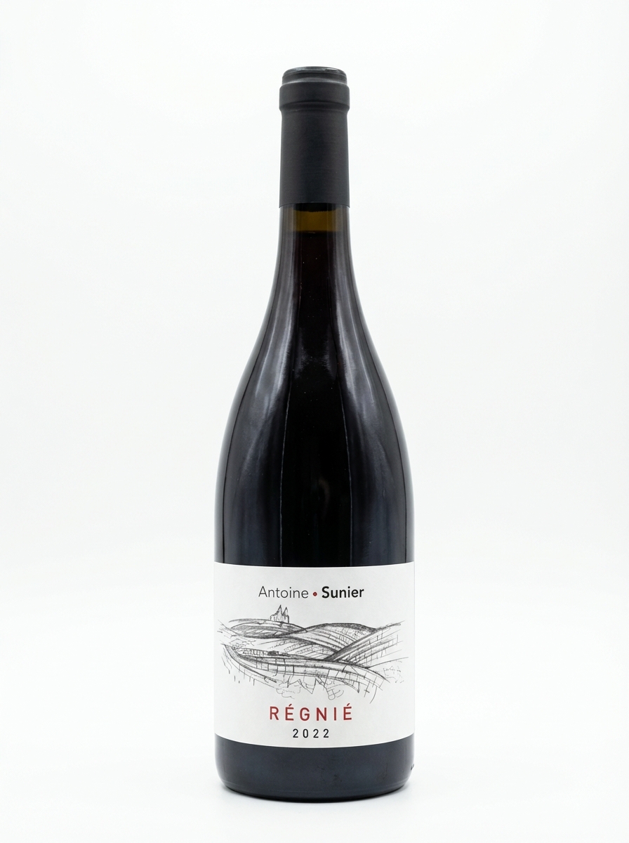 앙투안 쒸니에 레니에 2022