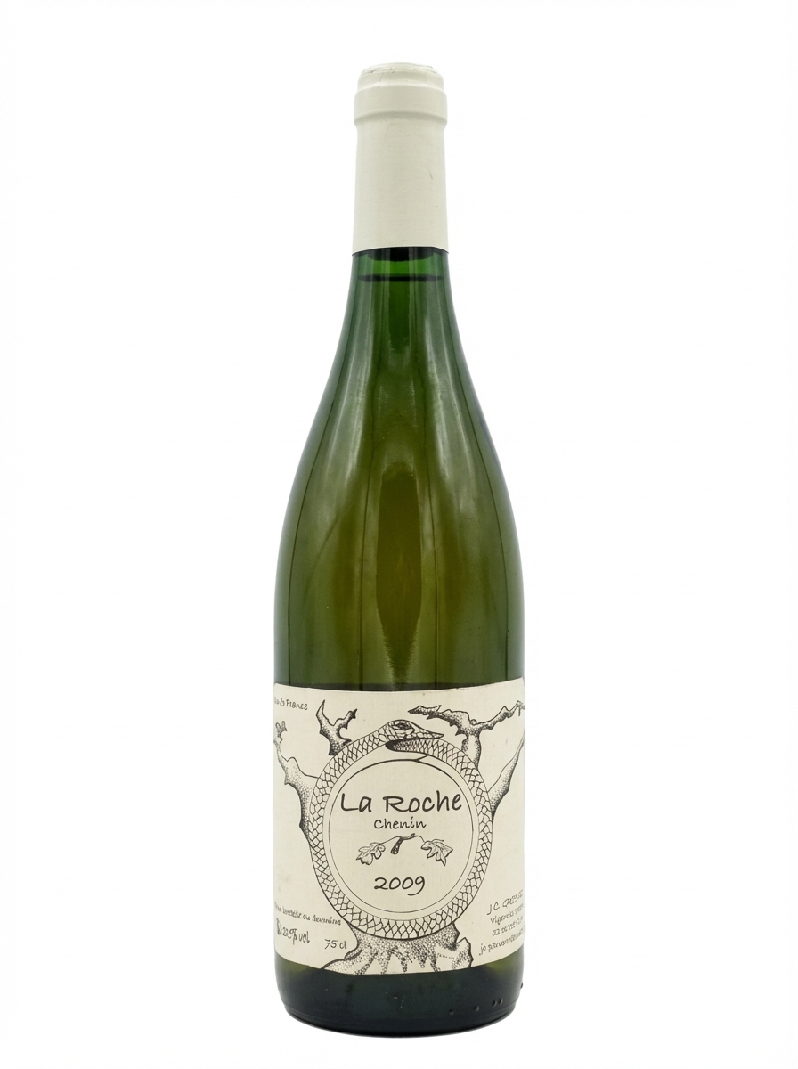 장 크리스토프 가르니에 라 로슈 2009