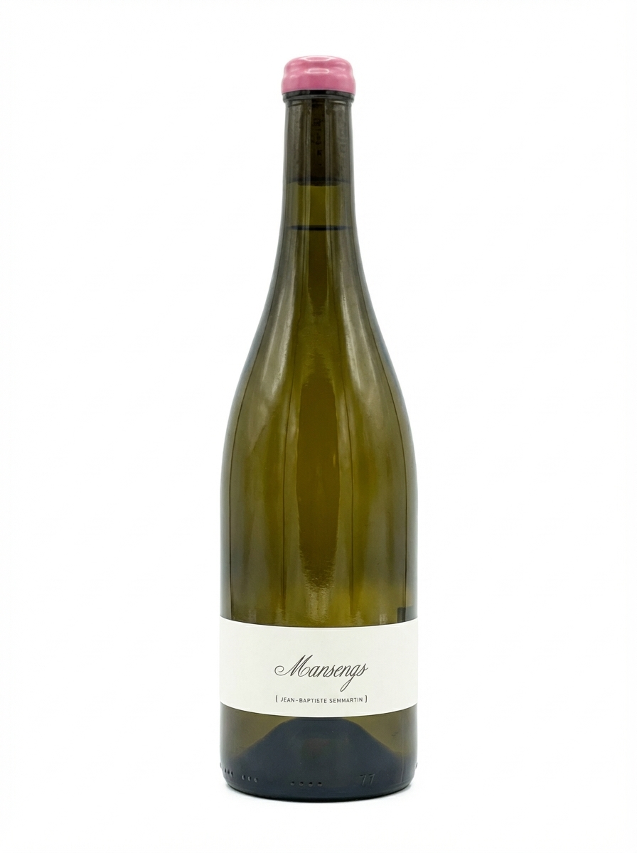 장 바티스트 세마르탱 망상 2024