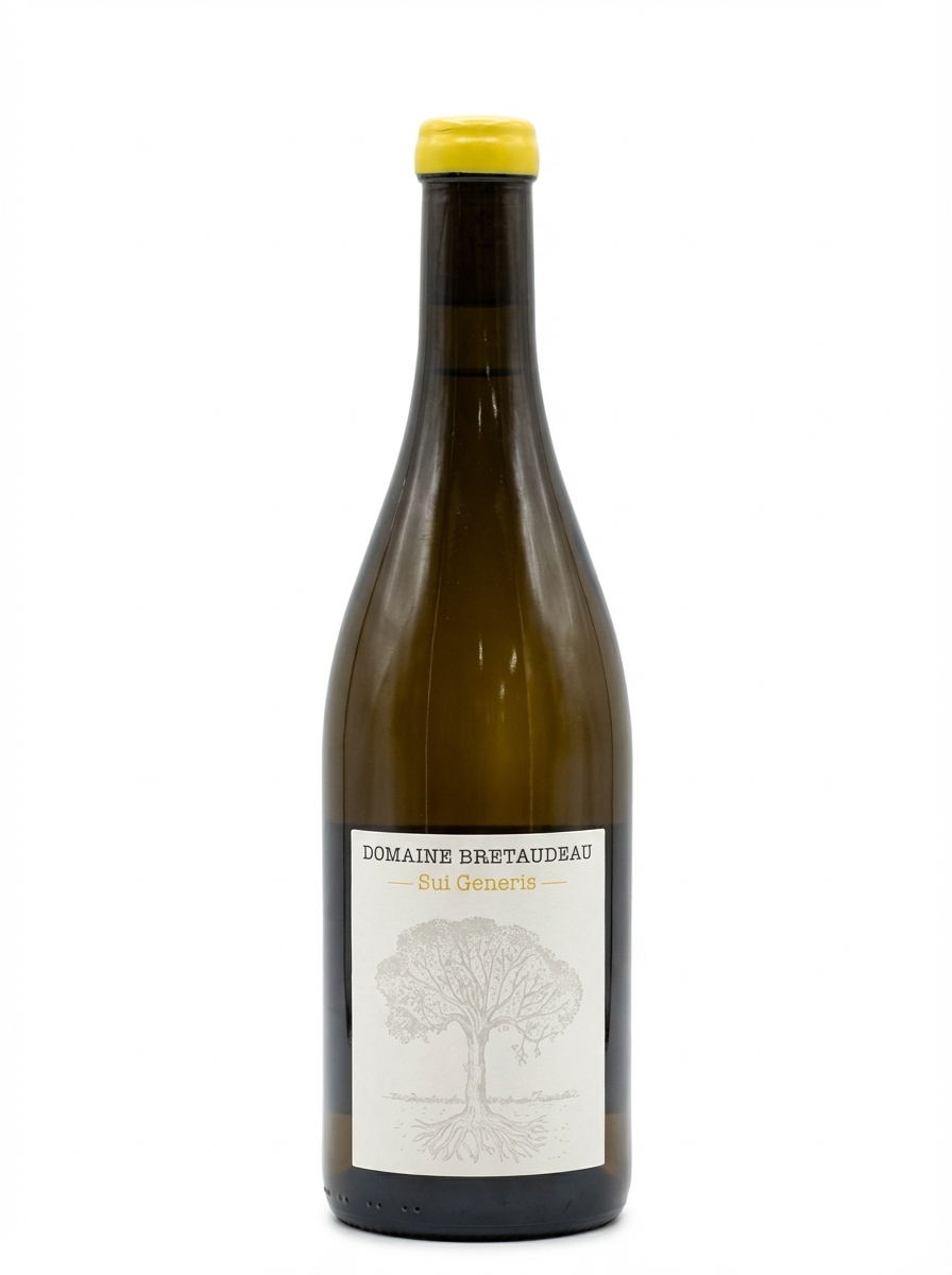 제롬 브레토도 쉬 제네리스 2023