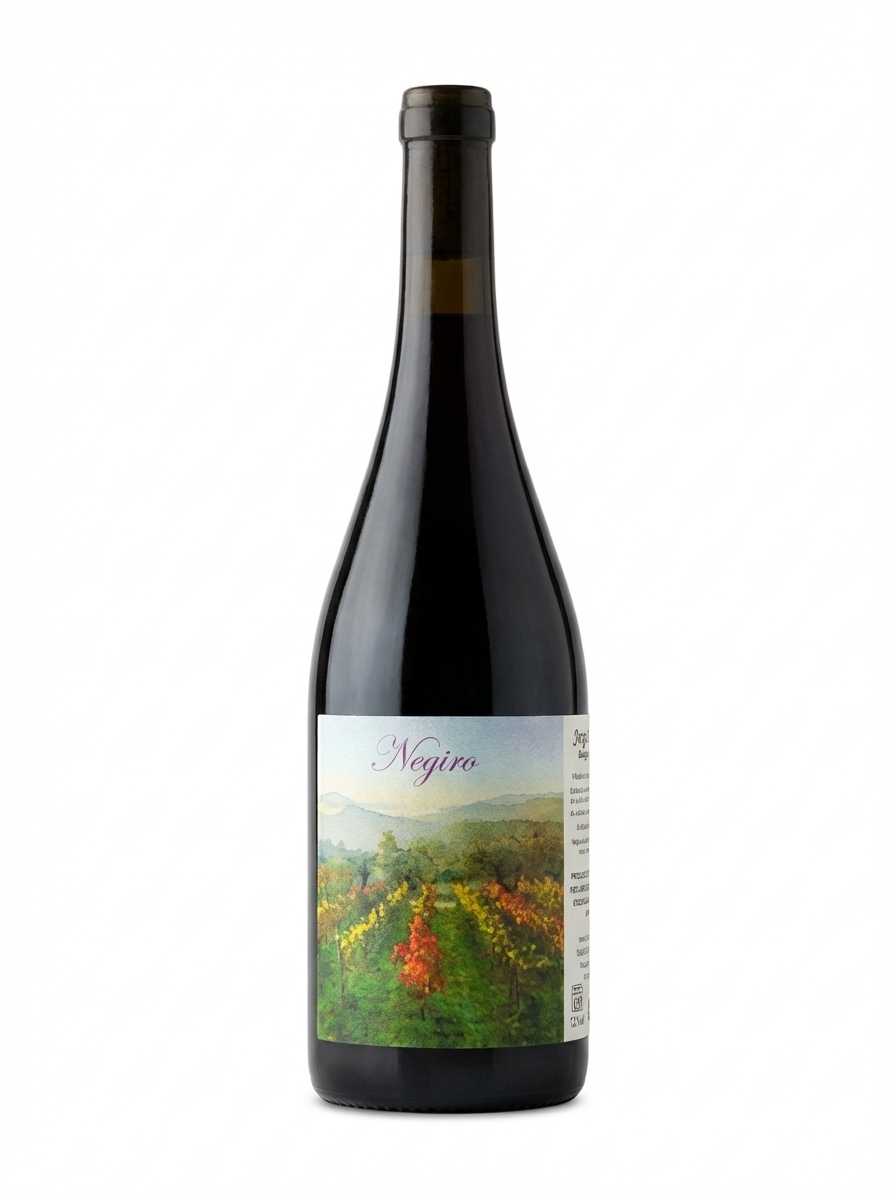 호르헤 올리베라 네기로 2023