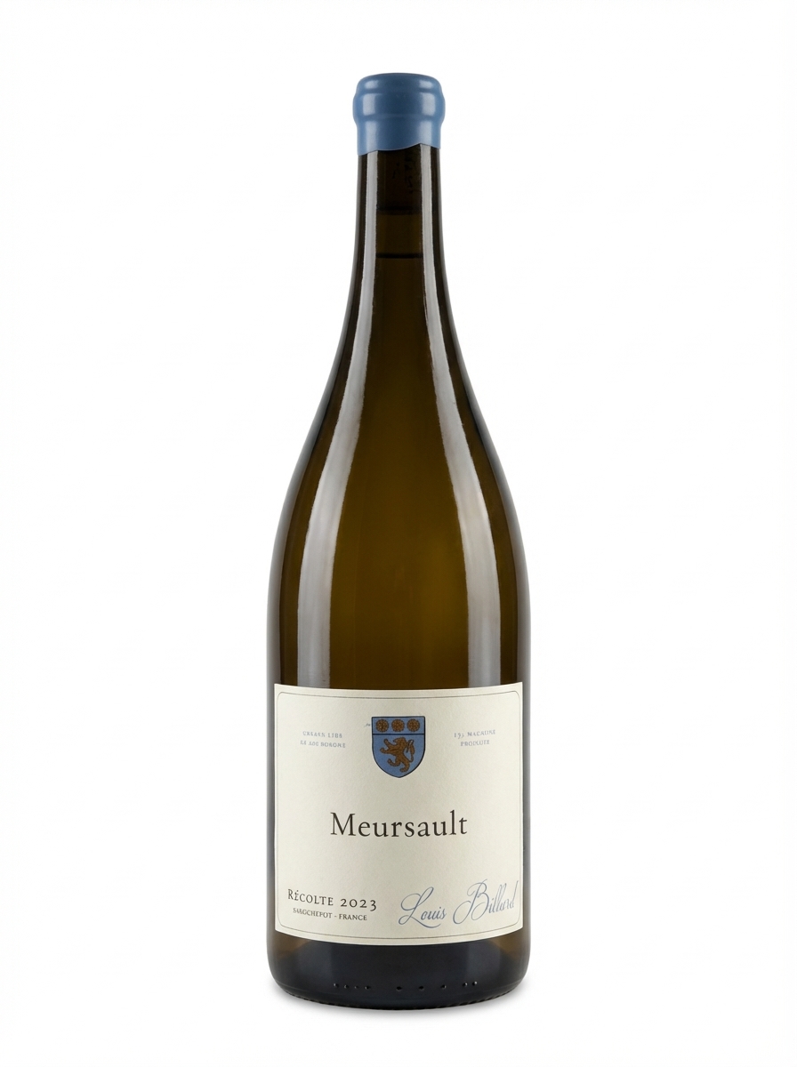 루이 비야르 뫼르소 2023