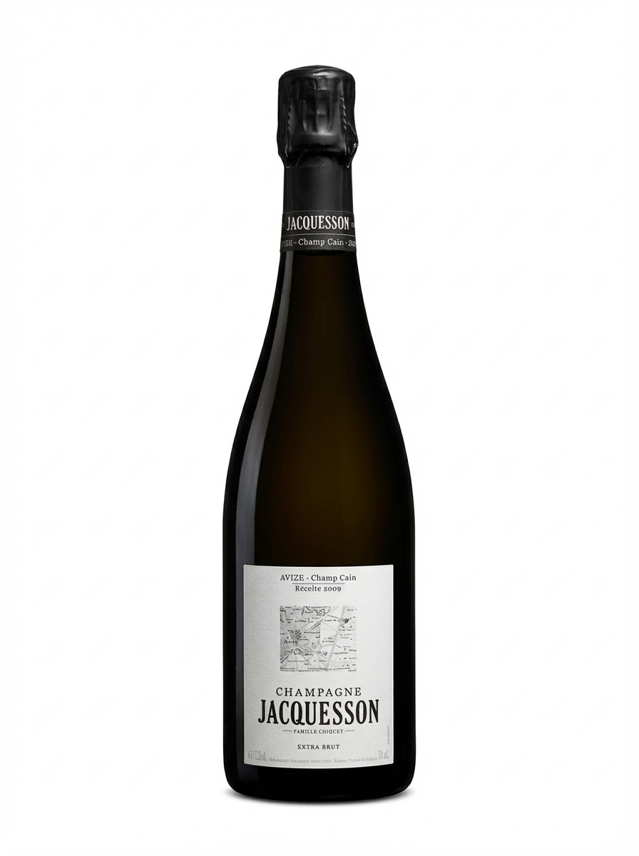 자크숑 그랑 크뤼 아비즈 샹 캉 2009