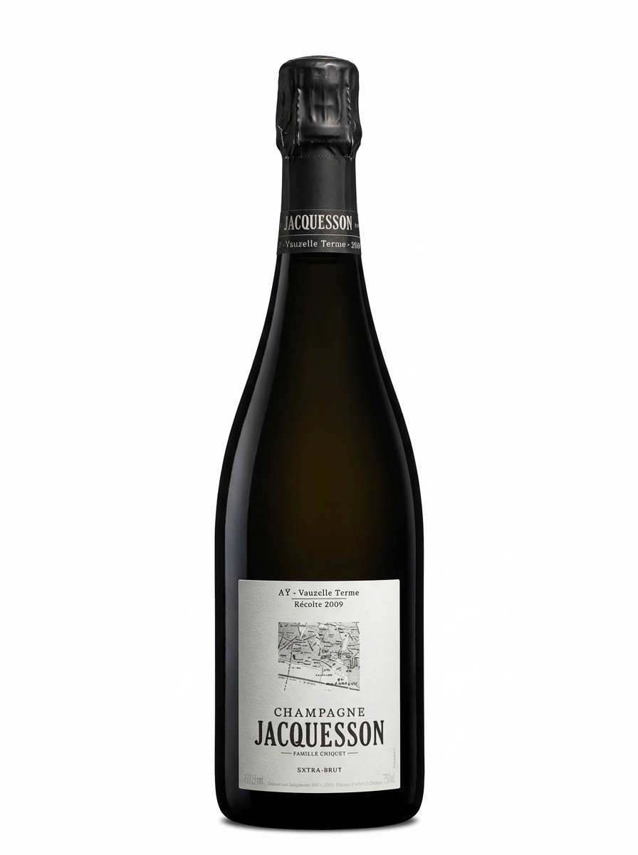 자크숑 아이 보젤 테름 엑스트라 브뤼 2009