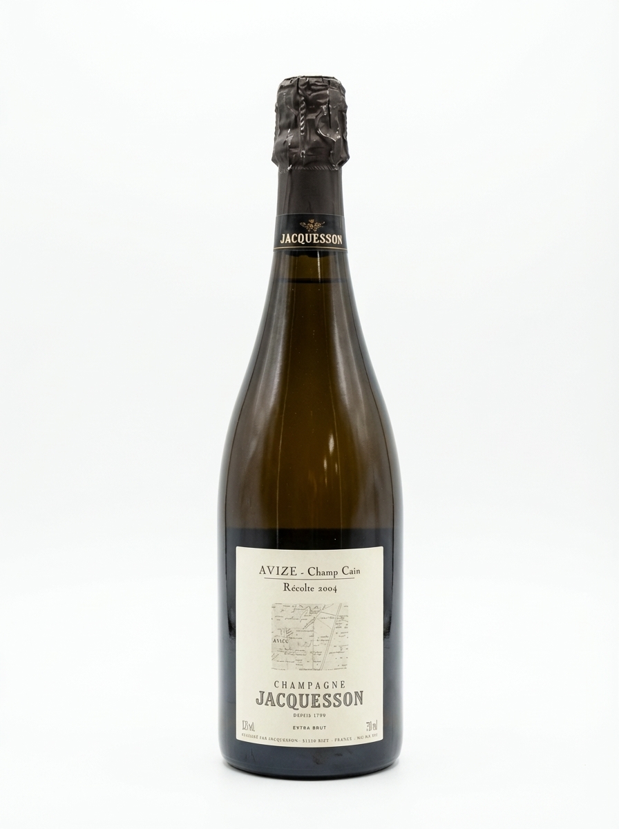 자크송 아비즈 샹 캉 2004