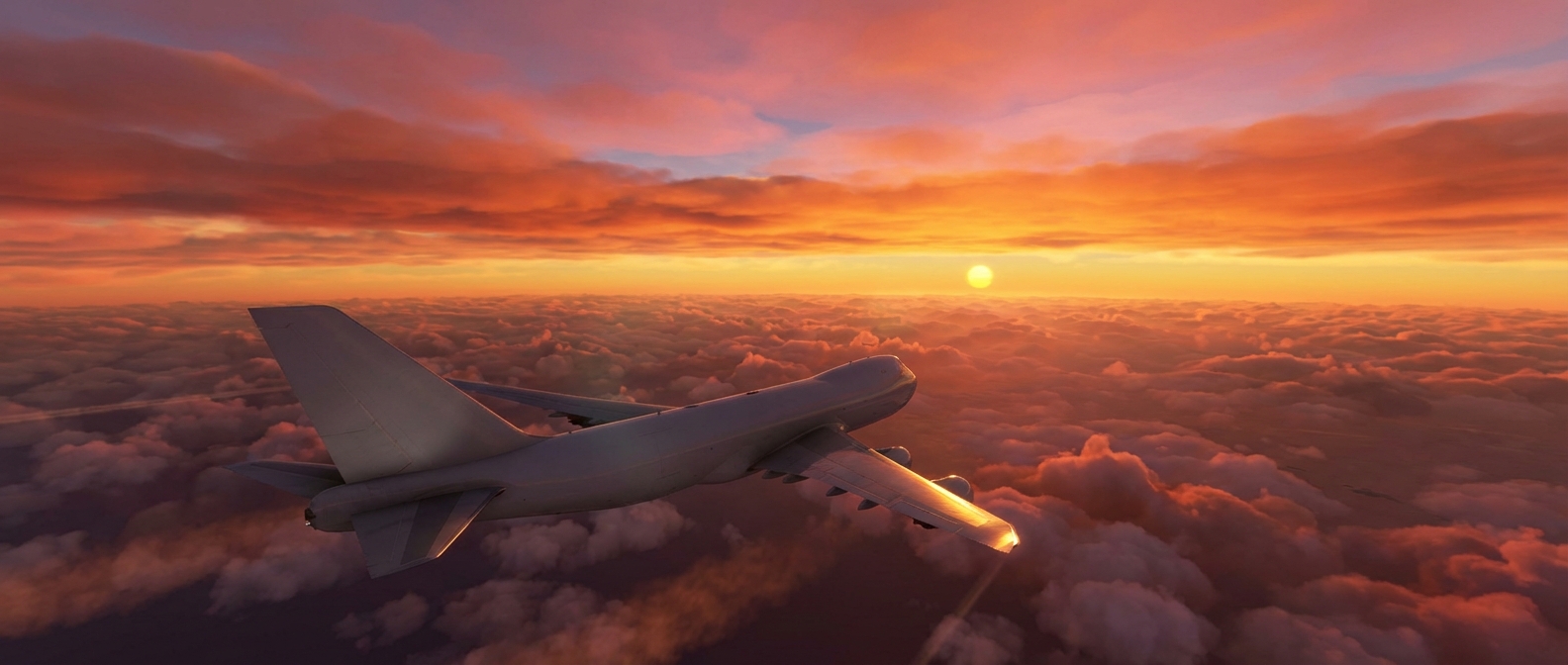 독일에서 한국까지, 항공 직송