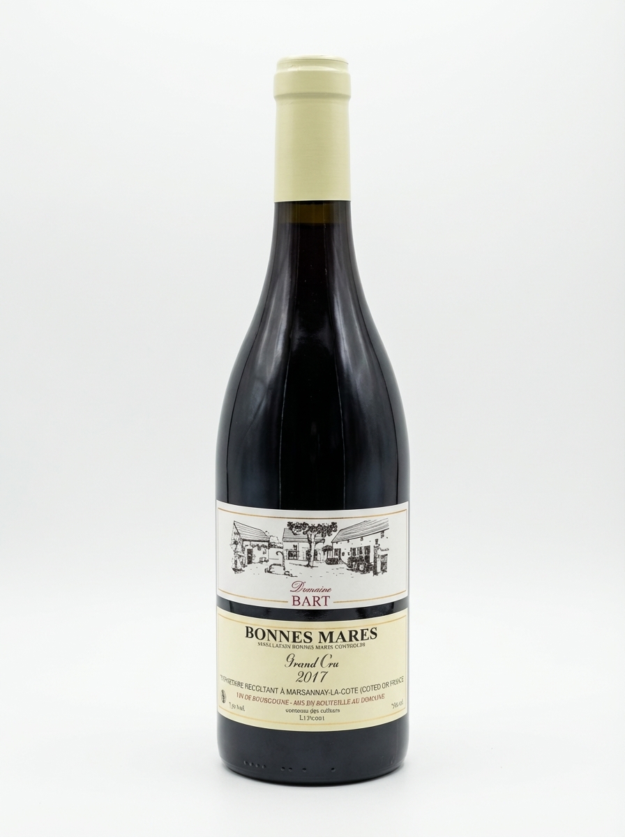 바르 본 마르 2017