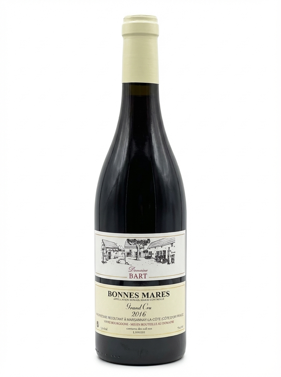 바르 본 마르 2016