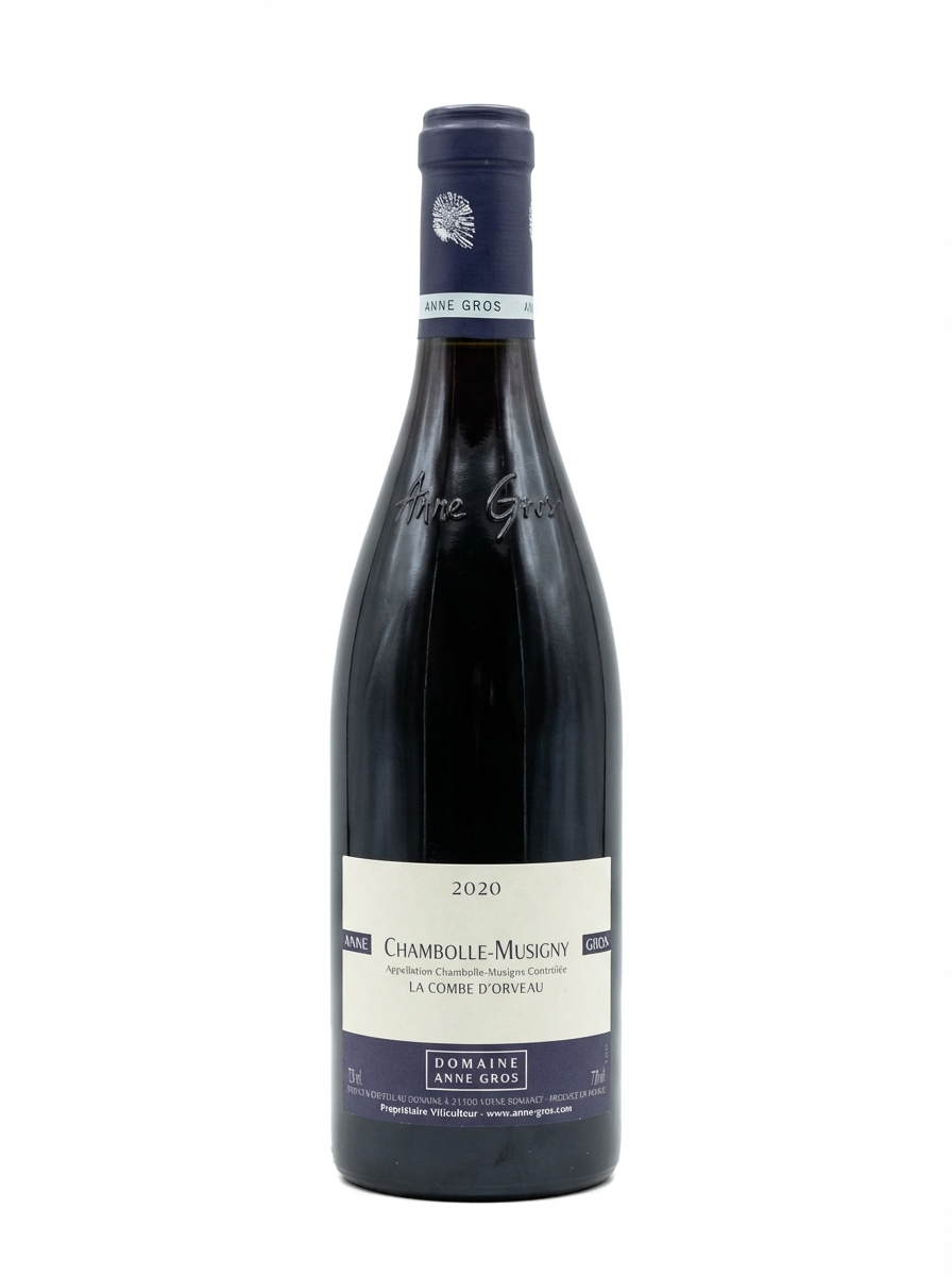 안 그로 샹볼 뮈지니 라 콤브 도르보 2020