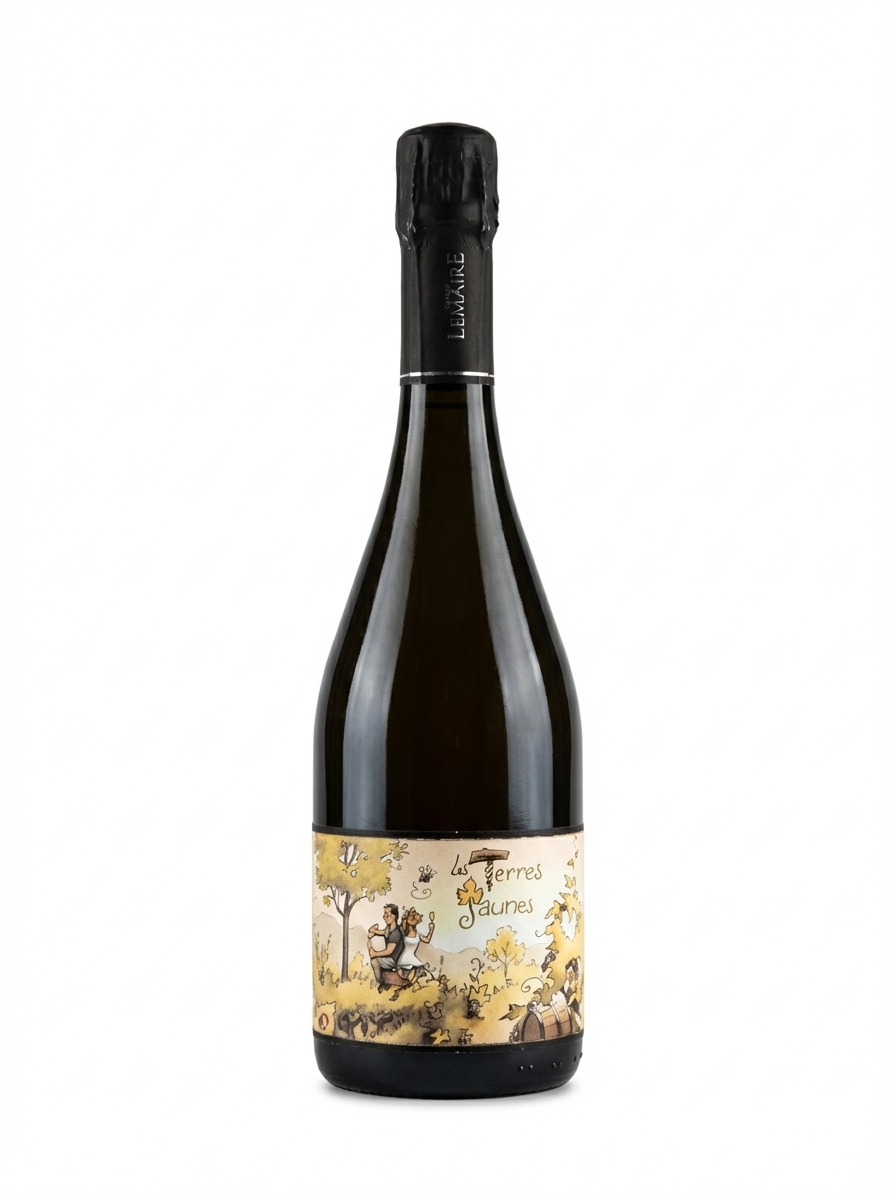 오렐리앙 르메르 레 테르 존