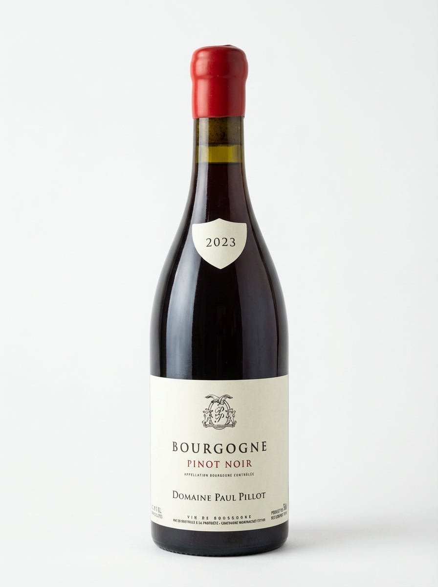 폴 피요 부르고뉴 피노 누아 2023