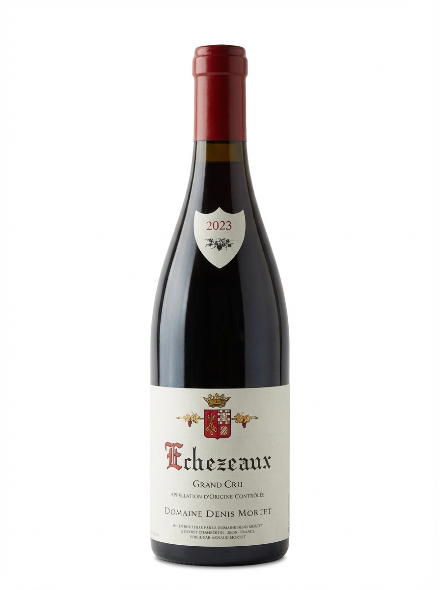 드니 모르테 에셰조 2023