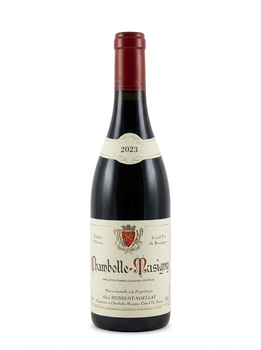 위들로 노엘라 샹볼 뮈지니 2023