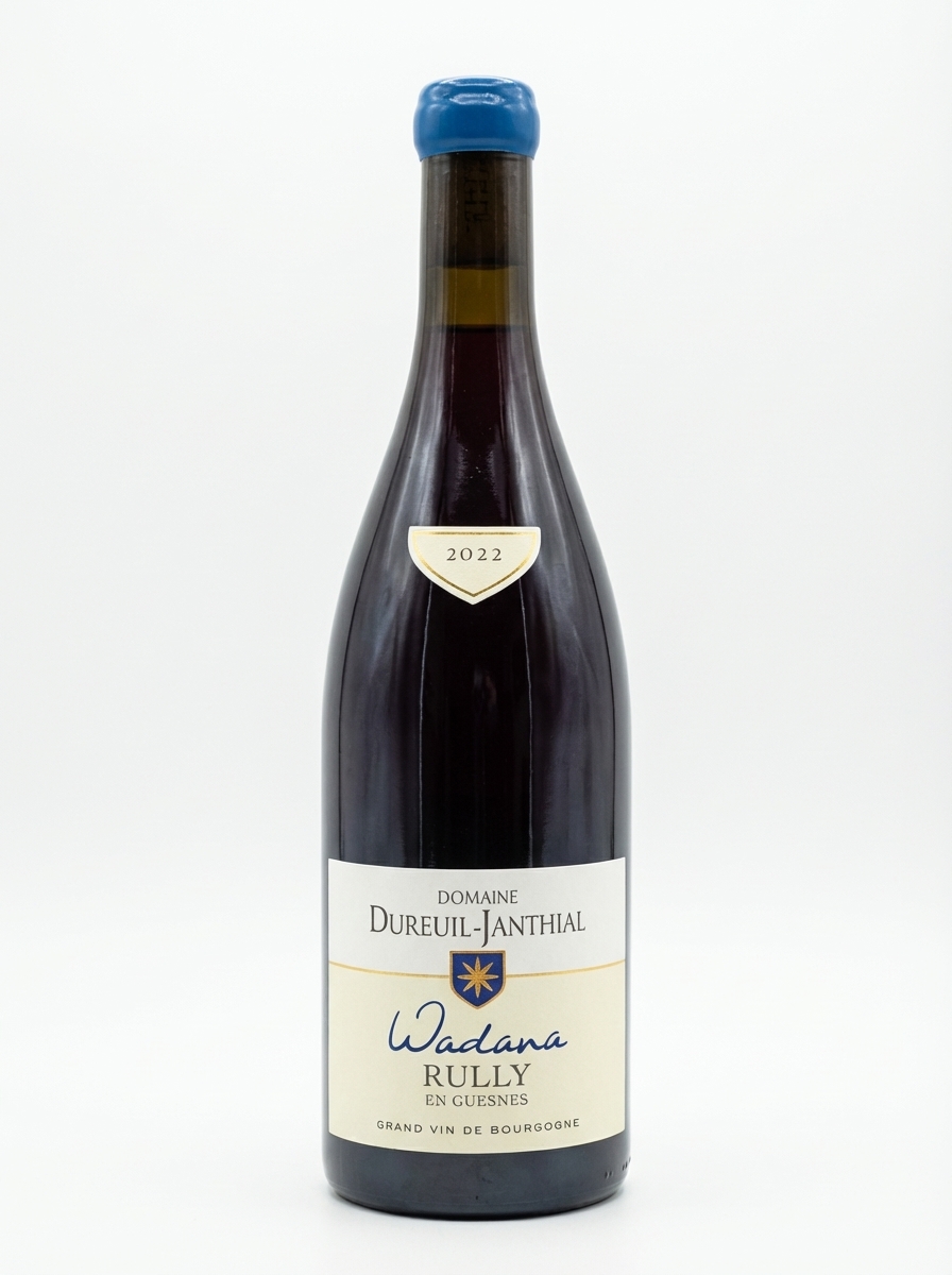 뱅상 뒤뢰유 장티알 륄리 앙 겐 퀴베 와다나 2022