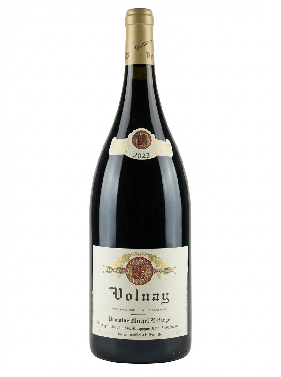 미셸 라파르주 볼네 2022