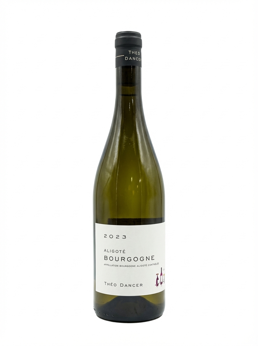 테오 당세르 부르고뉴 알리고테 2023