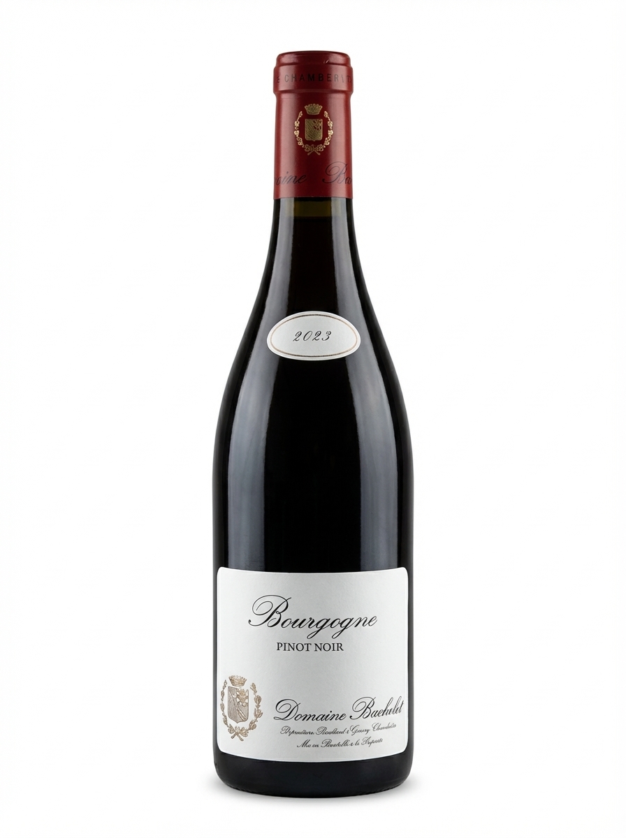 드니 바슐레 부르고뉴 2023